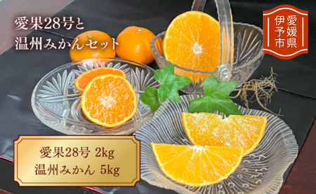 【2026年先行予約】みかん 愛果28号と温州みかんのセット 小玉マルチ 【12月上旬から順次発送予定】 紅まどんなと同一品種 人気 数量限定 愛媛 柑橘 伊予市｜B163