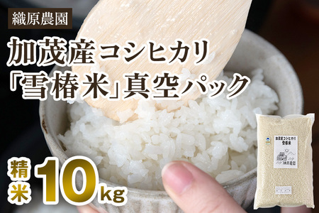 【令和7年産】新潟産コシヒカリ「雪椿米」特別栽培米 精米10kg （5kg×2袋） 白米真空パック