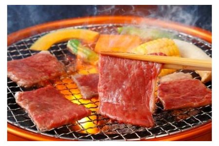 【2607-2585】※HNP-12飛騨牛焼肉用もも・かた(赤身)肉400g