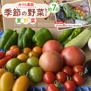 【2026年発送分先行予約】みうら農園 季節の野菜セット（夏野菜）【2026年6月中旬以降順次】