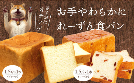 お手やわらかに1.5斤1本＆れーずん1.5斤1本　食パン 2種類セット パン プレーン レーズン サンマスカットレーズン 食べ比べ セット パンセット 1.5斤 1本ずつ 計 2本 卵不使用  DJ-0003