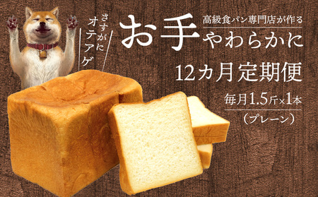 【定期便】お手やわらかに　12本　定期便 12回 食パン パン お手やわらかに 月1回 1本 1.5斤 計 12本 百花蜂蜜 国産バター 使用  DJ-T001