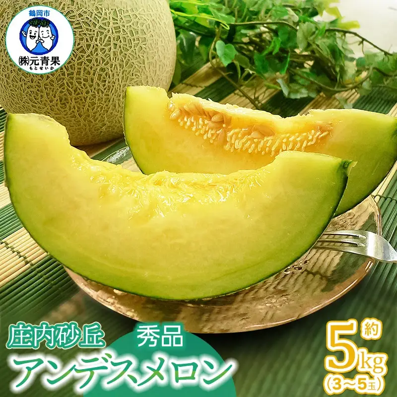 【令和8年産先行予約】 アンデスメロン 秀品 約5kg (3～5玉) 山形県鶴岡市産　株式会社 元青果　| メロン めろん フルーツ 果物 くだもの 夏 旬 デザート 産地直送 山形 鶴岡 庄内 東北 人気 おすすめ 美味しい 国産 お取り寄せ 返礼品