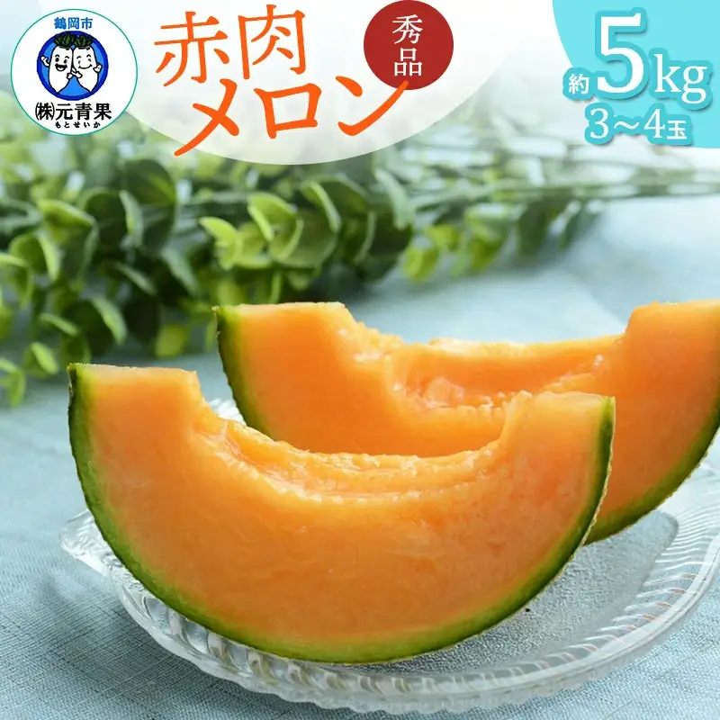 【令和8年産先行予約】 庄内砂丘赤肉メロン 秀品 大玉 約5kg (3～4玉) 山形県鶴岡市産　株式会社 元青果　| メロン めろん フルーツ 果物 くだもの 夏 旬 デザート 産地直送 山形 鶴岡 庄内 東北 人気 おすすめ 美味しい 国産 お取り寄せ 返礼品