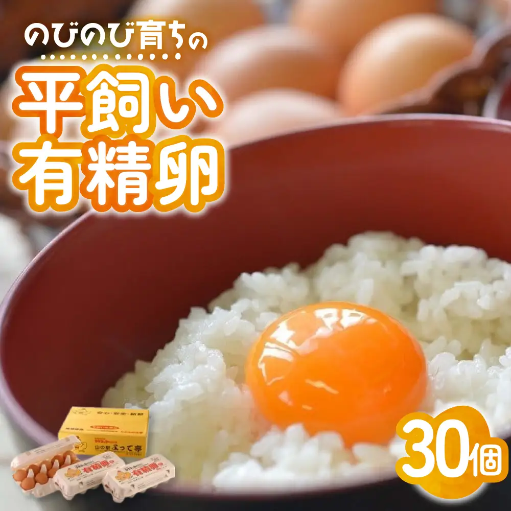 のびのび育ち平飼い「有精たまご」卵30個 卵