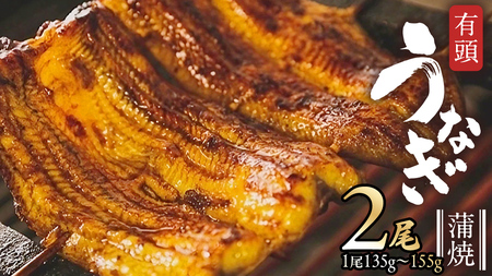 鹿児島県産 有頭 鰻 蒲焼 × 2尾 （ 1尾 135g ～ 155g 以上）