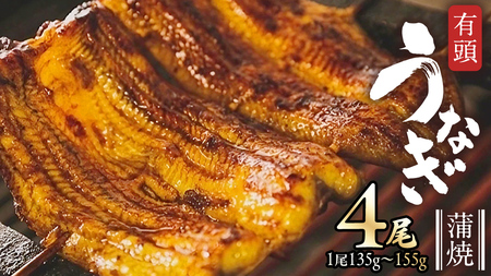 鹿児島県産 有頭 鰻 蒲焼 × 4尾 （ 1尾 135g ～ 155g 以上）