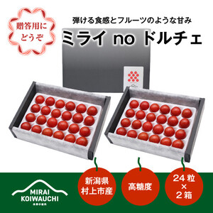 B4121 【数量・期間限定】【7月上旬から順次発送】『ミライ no ドルチェ』プレミアム 新潟県村上産ミニトマト（化粧箱入り）500g程度×2ケース