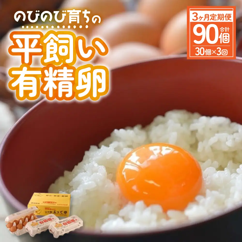 有精卵のコケコッコーの卵 90個【3ヶ月定期便】