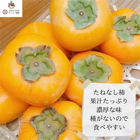 【令和8年10月上旬から発送】たねなし柿L～2Lサイズ(16～18個入り)_果物・フルーツ 柿（カキ）  かき_【配送不可地域：離島】【1410559】