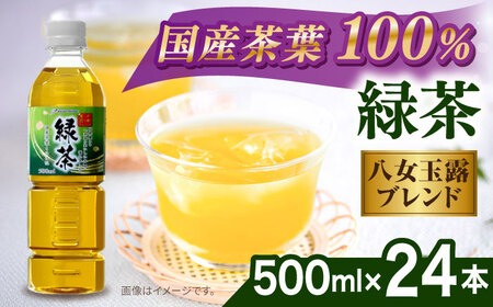 緑茶 ペットボトル 500ml×24本 八女玉露入り緑茶 お茶 [ARM004]