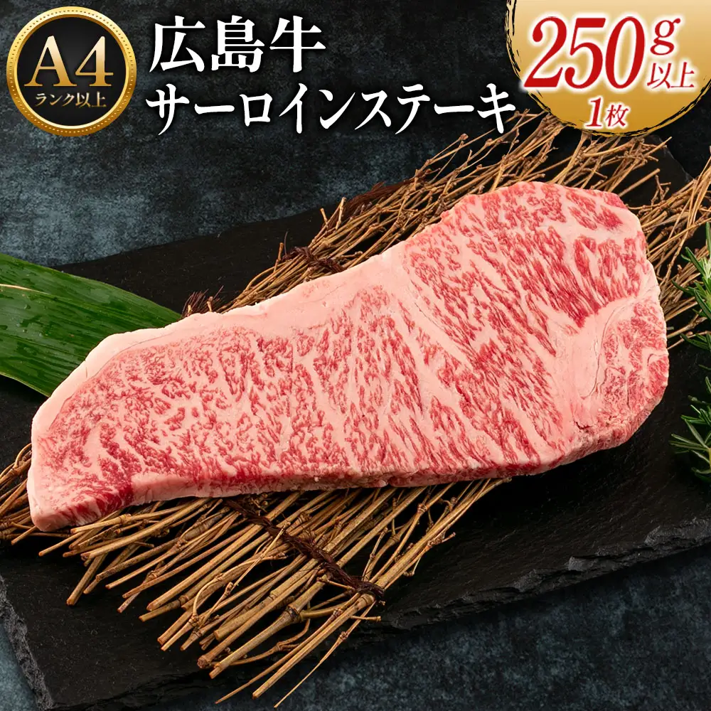 広島牛サーロインステーキ1枚【250g以上】（A4ランク以上） MO013_002