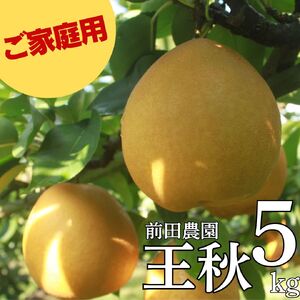 梨 訳あり ご家庭用 王秋 おうしゅう 5kg 前田農園 鳥取県産 | 13M