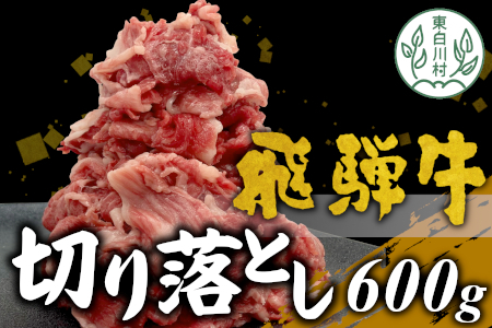 【8月発送】飛騨牛 切り落とし 600g 牛肉 和牛 肉 切落し ブランド牛 国産 10000円