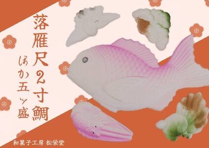 【2607-2555】※落雁尺2寸鯛ほか五ッ盛