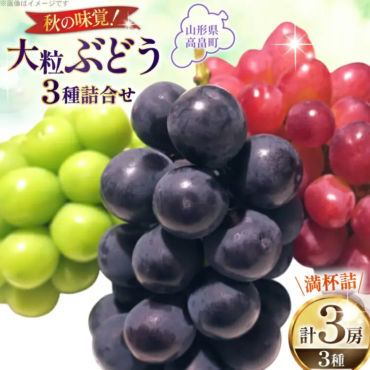 【期間限定発送】 大粒 ぶどう 3種 詰合せ シャインマスカット 1房 大粒ぶどう 2種 2房 計3房 [本田農園 山形県 高畠町 tk06ays820000]