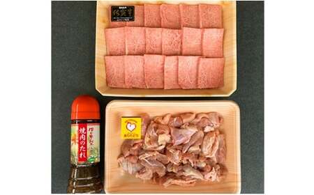 【佐賀牛＆有田鶏】バーべキューセット N12-10