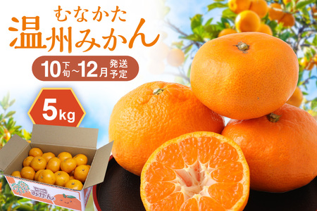 むなかた温州みかん 5kg 【2026年10月下旬～12月発送】【JAほたるの里】_HA1345