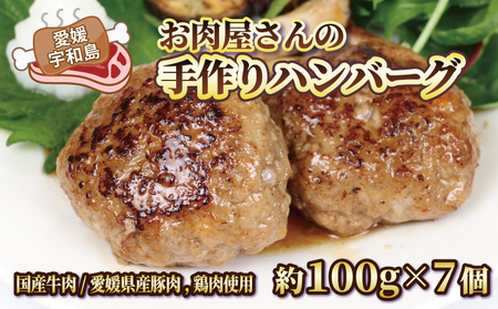 おかず お 肉屋 さんの 手作り ハンバーグ 泉精肉店 おかず E010-142001