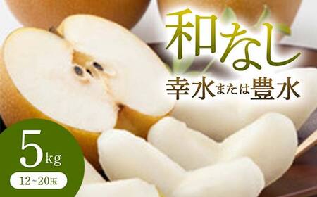 《先行予約 2026年度発送》 和なし(幸水または豊水) 5kg なし ナシ 梨 デザート フルーツ 果物 くだもの 果実 食品 山形県 FSY-0709