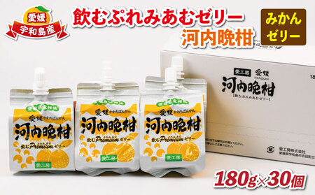 飲むぷれみあむ ゼリー 河内晩柑 180g × 30個 愛工房 ゼリー J025-034007