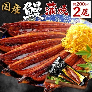 国産 鰻蒲焼200g2尾_ 国産 鰻 蒲焼 200g 2尾 ふっくら 肉厚 鮮度 地下水 ミネラル 秘伝のタレ 四度付け 甘め 特製 タレ 家庭 手軽 本格的な ご飯 お茶漬け ひつまぶし 鰻巻き 真空パック 湯煎 おかず 簡単調理 惣菜 おうちごはん お取り寄せ 福岡県 久留米市 送料無料 〔Cu031〕