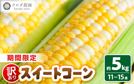 【先行予約】【訳あり】農場直送 鮮度抜群 スイートコーン（とうもろこし ）約5kg （11本～15本）【2026年7月上旬より順次発送予定】【お楽しみ バーベキュー 冷凍保存可能 焼肉 おやつ ご飯のおとも 野菜 国産 産地直送】 [e62-a009]