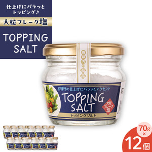 トッピングソルト 70g 12個 セット