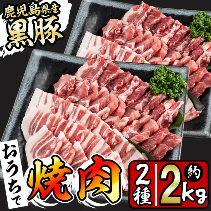 鹿児島県産黒豚焼肉セット(計2kg・黒豚肩ロース焼肉500g×2P 黒豚バラ焼肉500g×2P) b1-008