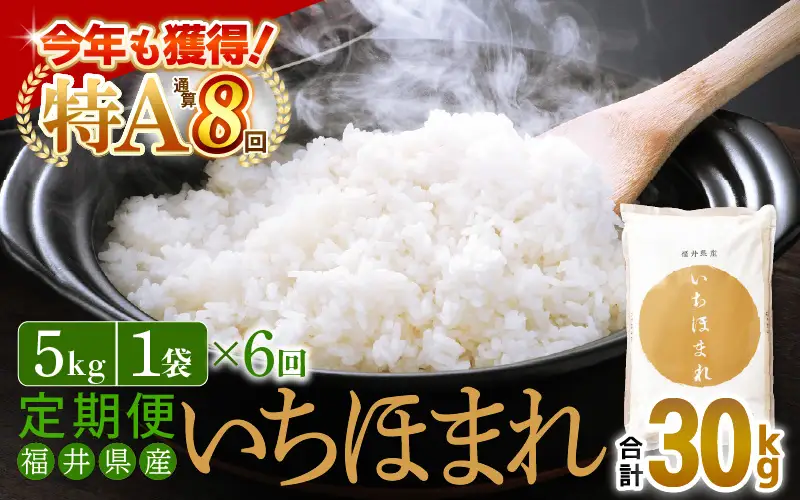 【6回定期便】いちほまれ 5kg 福井県 定期便 精米 ブランド米 [e27-i008]