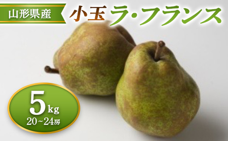 ≪2026年先行予約≫ 山形県産 小玉ラ・フランス 5kg なし ナシ 梨 デザート フルーツ 果物 くだもの 果実 食品 山形県 FSY-2694