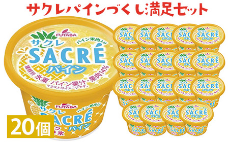 サクレパインづくし満足セット　20個｜アイス かき氷 シャーベット デザート ※着日指定不可 ※離島への配送不可◇