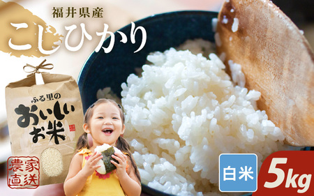 【先行予約】【令和8年産・新米】【白米 5kg】 コシヒカリ 5kg 【2026年10月上旬以降順次発送】 [A-8934_01]
