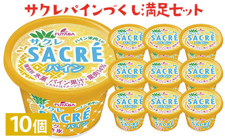 サクレパインづくしセット　10個｜アイス かき氷 シャーベット デザート ※着日指定不可 ※離島への配送不可