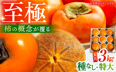 【先行予約】【10月中旬～11月下旬発送】種なし柿 太月・渋抜き柿 3kg【小林農園】[HAX001]かき 果物 フルーツ