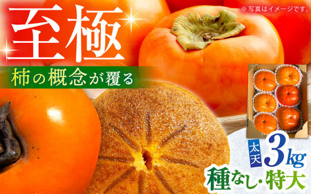 【先行予約】【10月下旬～12月上旬発送】種なし柿 太天・渋抜き柿3kg【小林農園】HAX002 かき 果物 フルーツ