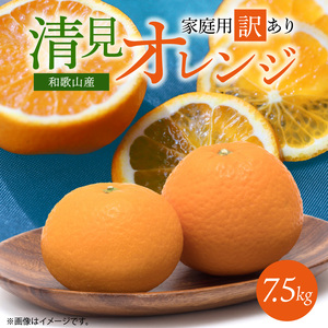 G7067_【2027年先行予約】紀州有田産 清見 オレンジ 7.5kg【家庭用 訳あり】