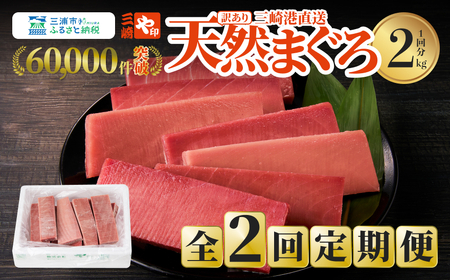【 訳あり 】【 全2回定期便 】【 2kgを2回お届け 】（ 徳用 ）老舗 三崎 まぐろ 問屋 から 直送 ！ 新鮮 天然マグロ 赤身 2kg 定期便 2回 M063-T02 【 訳アリ 】 冷凍 マグロ 定期