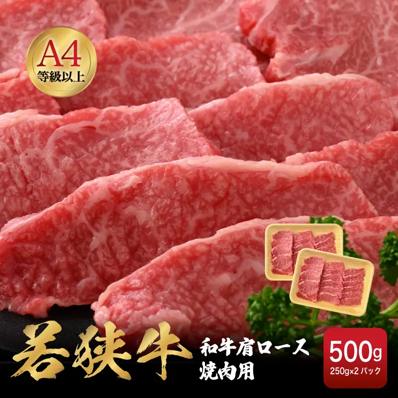 【ブランド肉】若狭牛 和牛肩ロース 焼肉用 計500ｇ 国産肉 冷凍 [e02-b009]