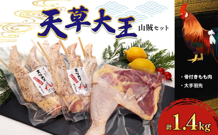 国産 熊本発送  天草大王 山賊セット 鶏肉