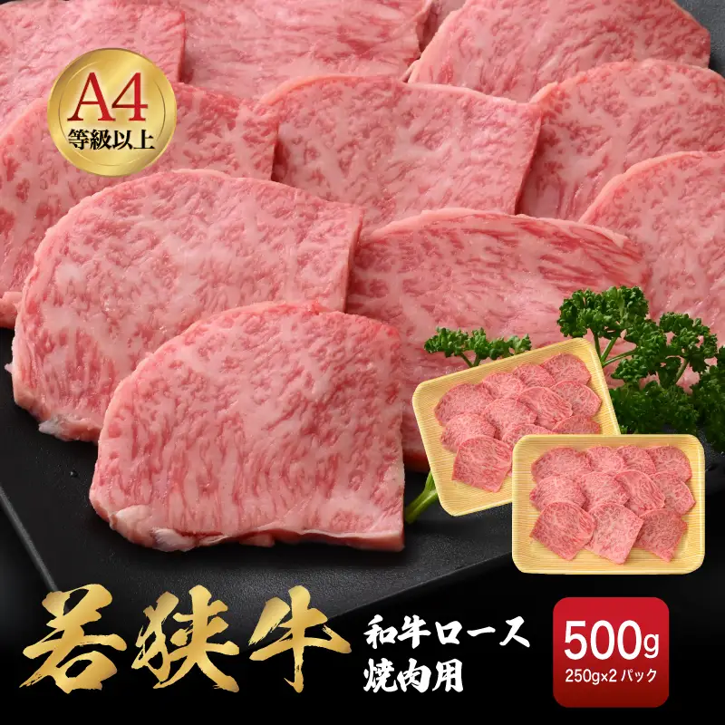 【ブランド肉】若狭牛 和牛ロース 焼肉用 計500g 国産肉 冷凍 [e02-c011]