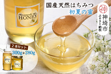 2025年産【数量限定】国産天然蜂蜜(初夏の蜜)300g&280g【合計580g】(H049128)