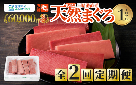 【 訳あり 】【 全2回定期便 】【 1kgを2回お届け】（ 徳用 ） 老舗 三崎 まぐろ 問屋 から直送！ 新鮮 天然マグロ 赤身 1kg 定期便2回 M063-T01 【 訳アリ 】 冷凍 マグロ 定期便