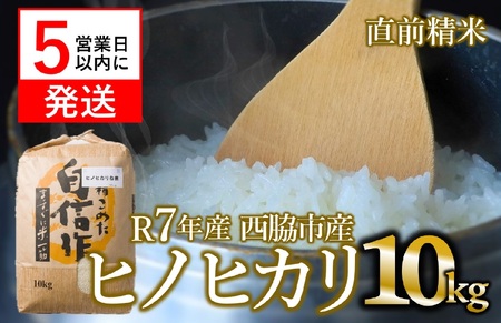 【スピード配送】令和７年産【ヒノヒカリ】10kg 白米
