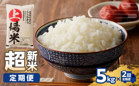 【予約受付】＜令和8年度産 新米＞超新米定期便（5kg×2回）【Z051】