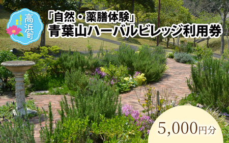 「自然・薬膳体験！」青葉山ハーバルビレッジ利用券5,000円