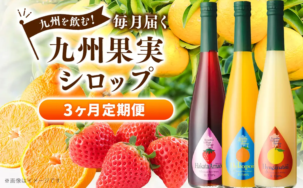 【3ヶ月定期便】 九州を飲む！毎月届く 九州果実シロップ 500ml×1本×3回 果物 フルーツ ジュース デコポン あまおう 日向夏