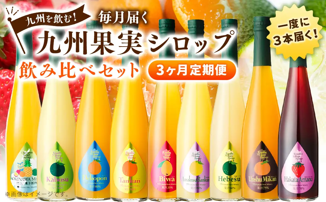 【3ヶ月定期便】 九州を飲む！毎月届く 九州果実シロップ 飲み比べセット 500ml×3本×3回 果物 フルーツ ジュース
