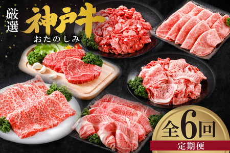 神戸牛 定期便 平山牛舗の厳選神戸牛 月1回発送 全6回 冷凍 牛肉  61-14