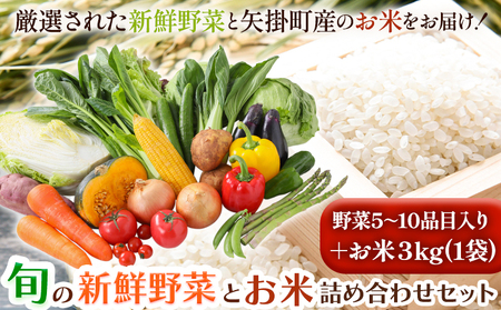旬の新鮮野菜とお米詰め合わせセット 野菜5～10品目入